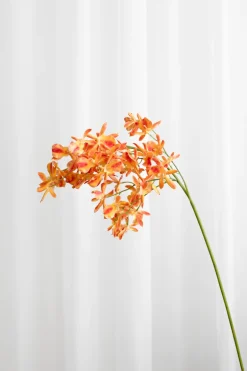 Artificial Flowers - Amber Stem orchid