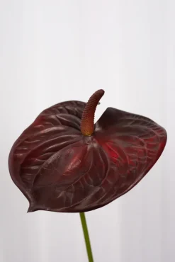 Artificial Flowers - Burgundy Anthurium