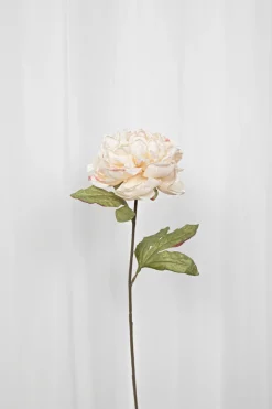 Artificial Flowers - Cream Peony