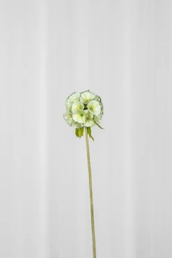 Artificial Flowers - Green Scabiosa Seed Pod flower