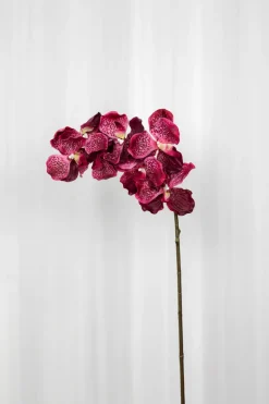 Artificial Flowers - Plum Orchid (7 heads)
