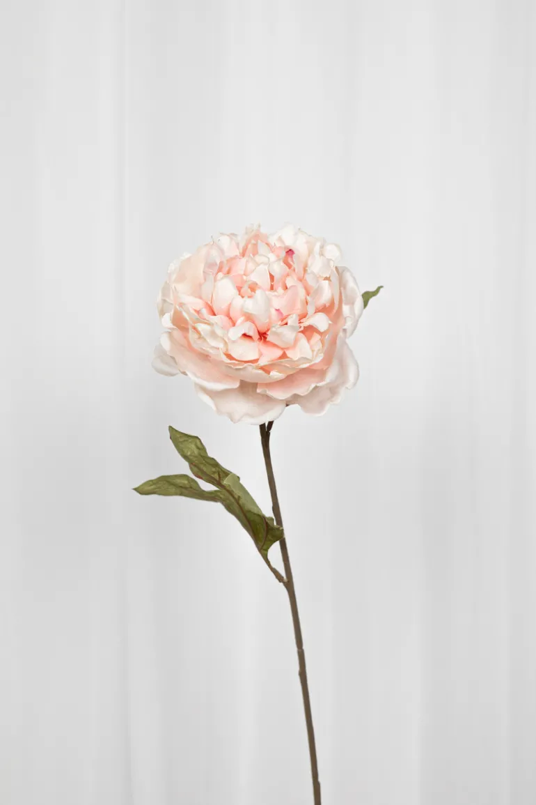 Artificial Flowers - Rose Peony