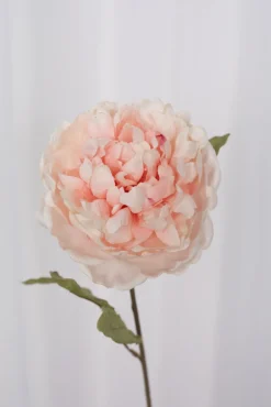 Artificial Flowers - Rose Peony