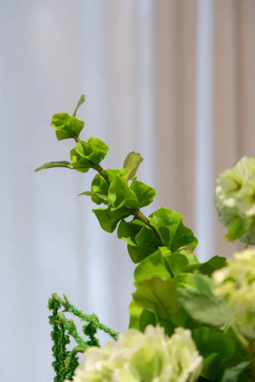 Buketter - Buket 5 - eventyrlige blomsterdrømme