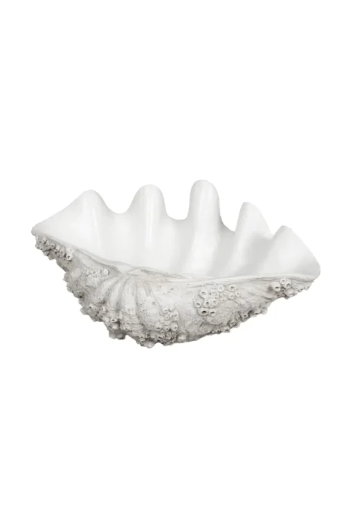 Naya Bowl - Medium
